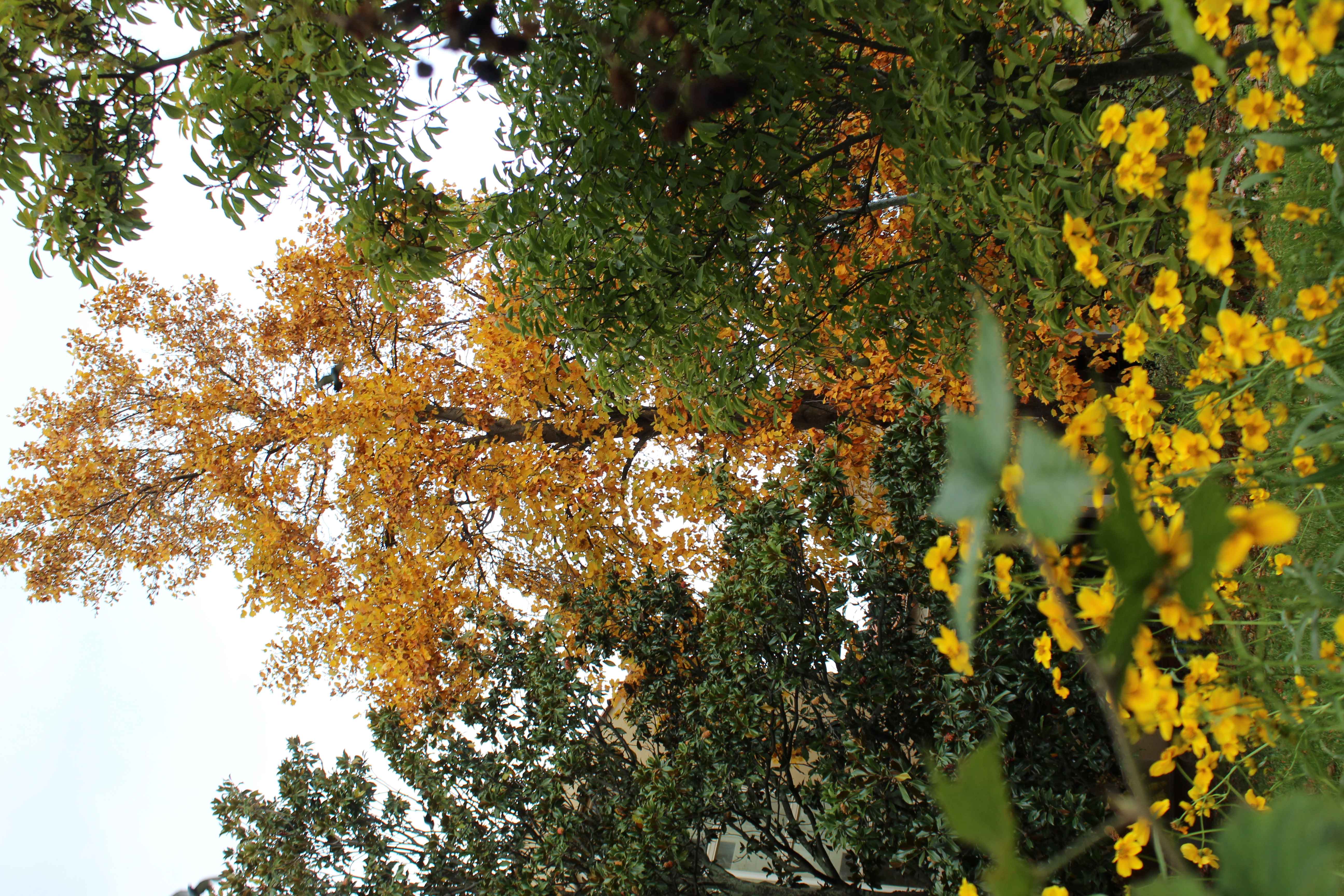 IMG_3959-65d4b112c1e32.jpeg
