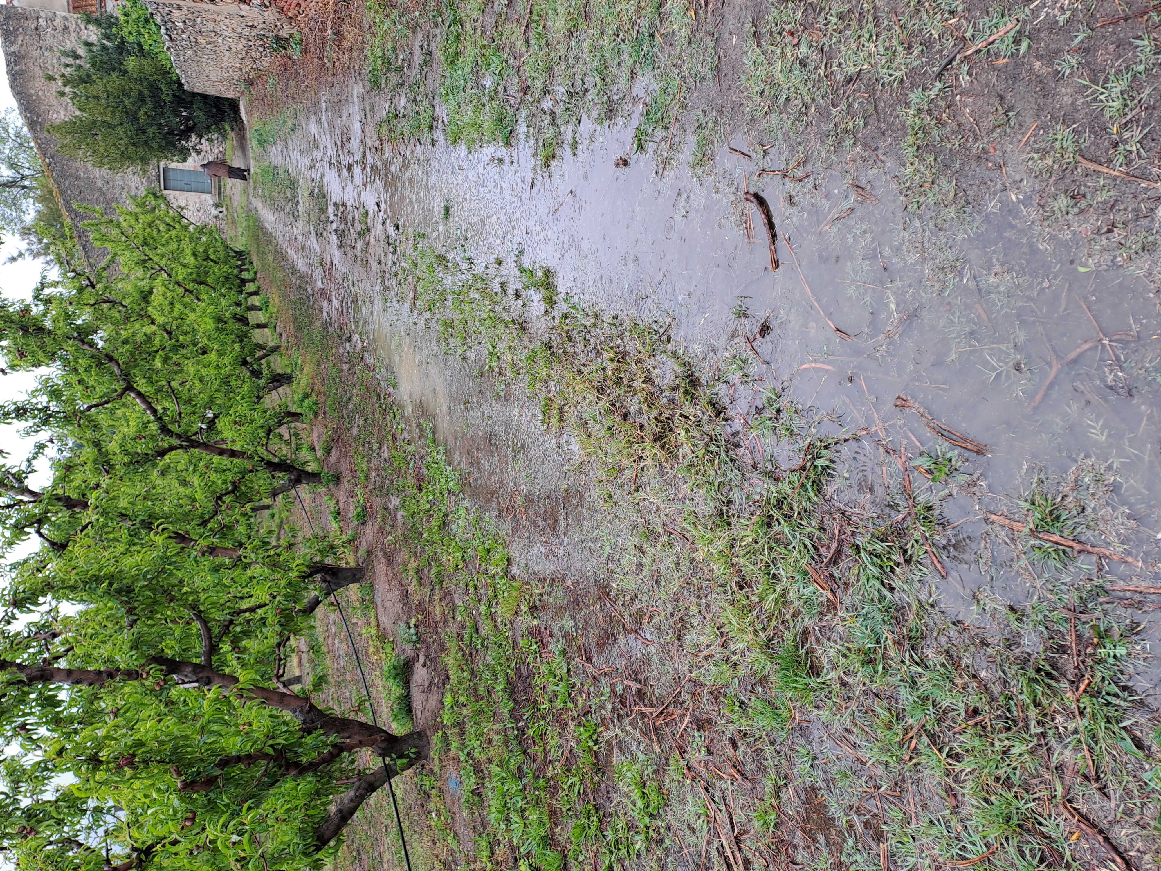 PluieMai2024-67fd0a8a53147.jpeg